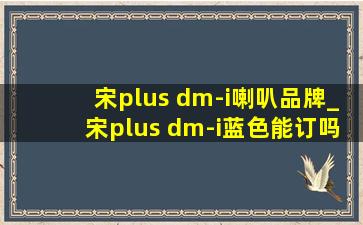 宋plus dm-i喇叭品牌_宋plus dm-i蓝色能订吗